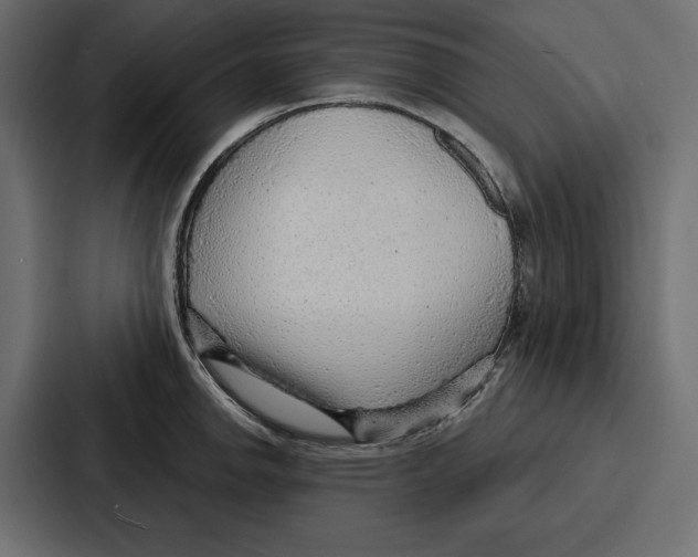 X0000086801142200705111830