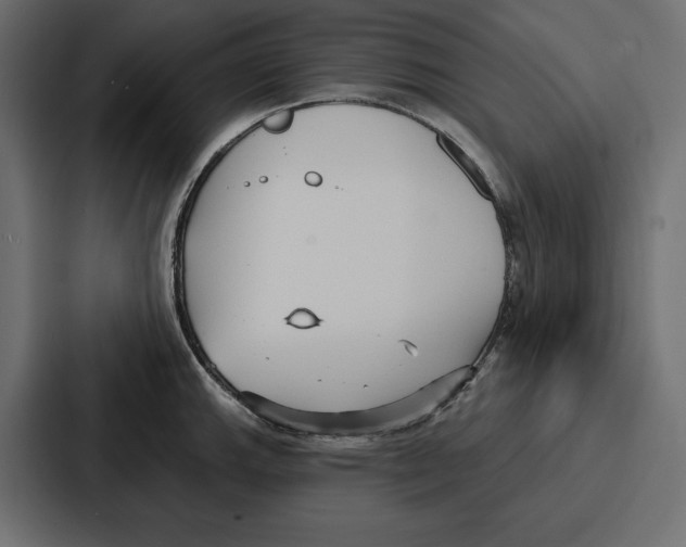 X0000086801143200705111830