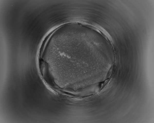 X0000086801144200705111830