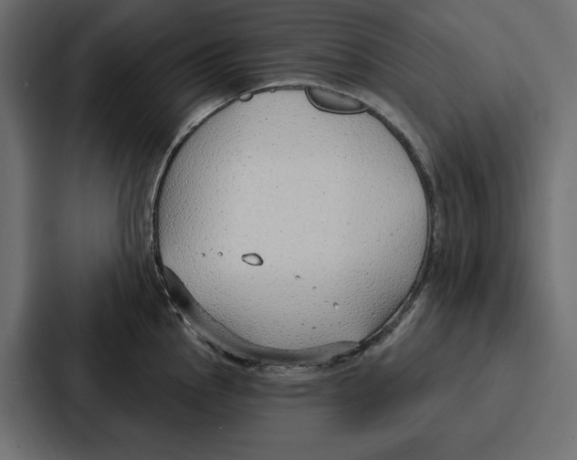 X0000086801145200705111830