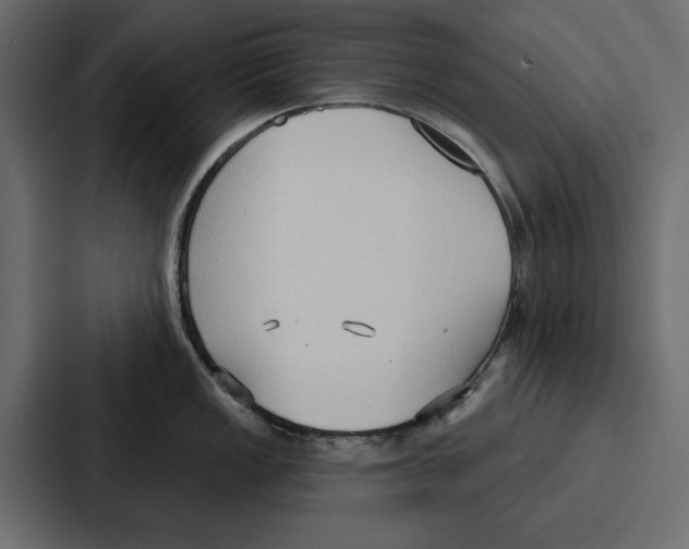 X0000086801149200705111830