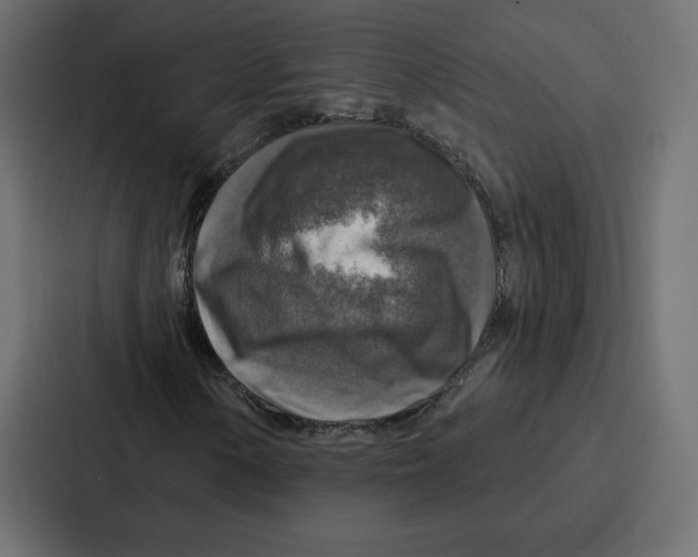 X0000086801154200705111829