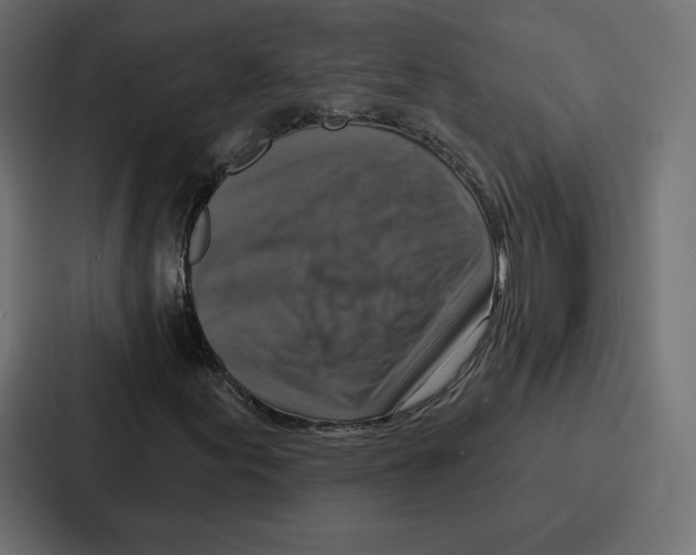 X0000086801155200705111829