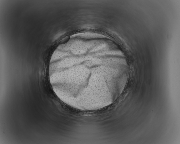 X0000086801158200705111829