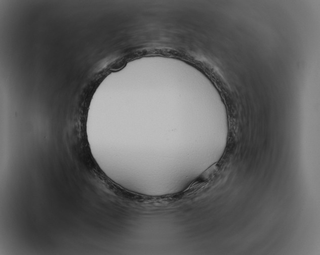 X0000086801159200705111829