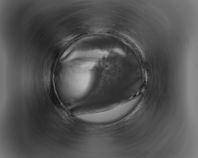 X0000086801161200705111829