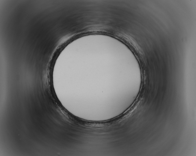 X0000086801164200705111829