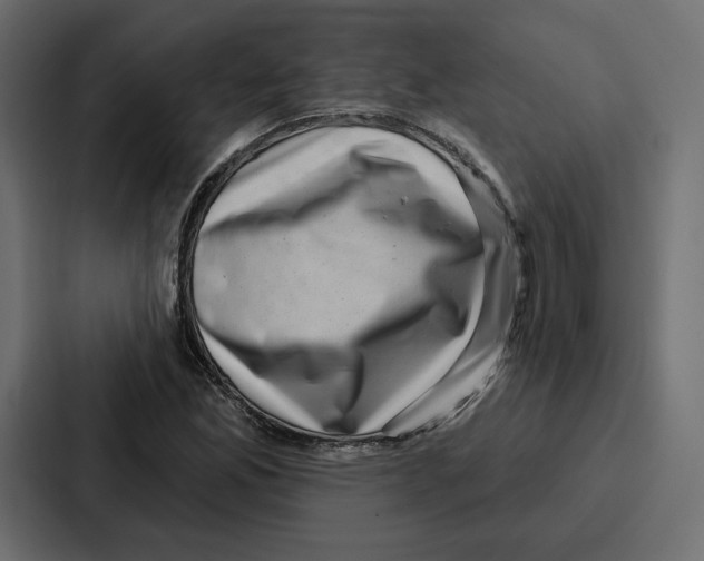 X0000086801165200705111829