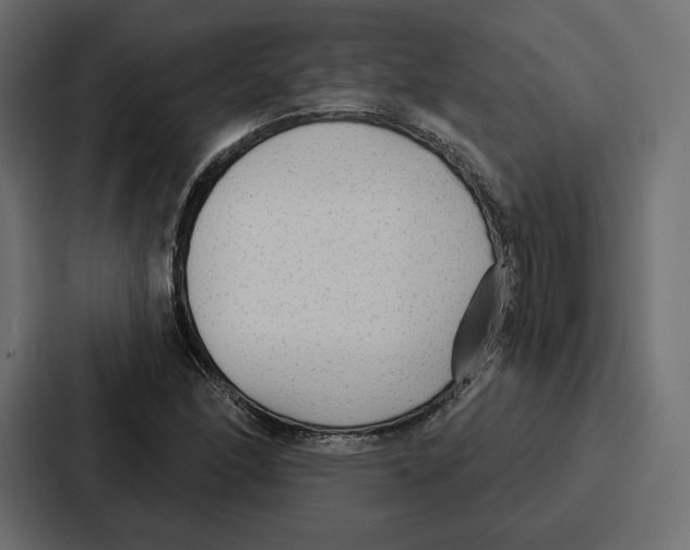 X0000086801166200705111829