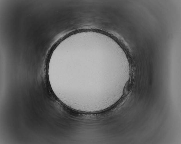 X0000086801167200705111829