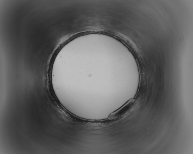 X0000086801168200705111829