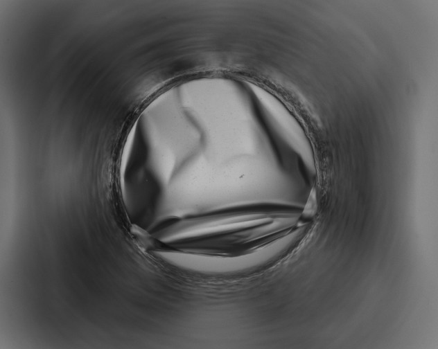 X0000086801169200705111829