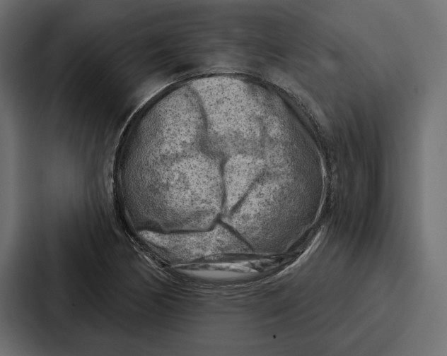 X0000086801170200705111829