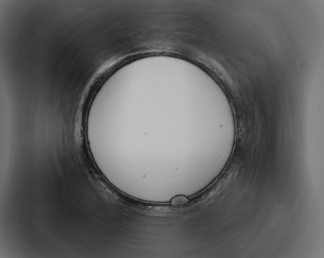 X0000086801172200705111829