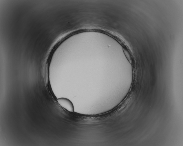 X0000086801175200705111829