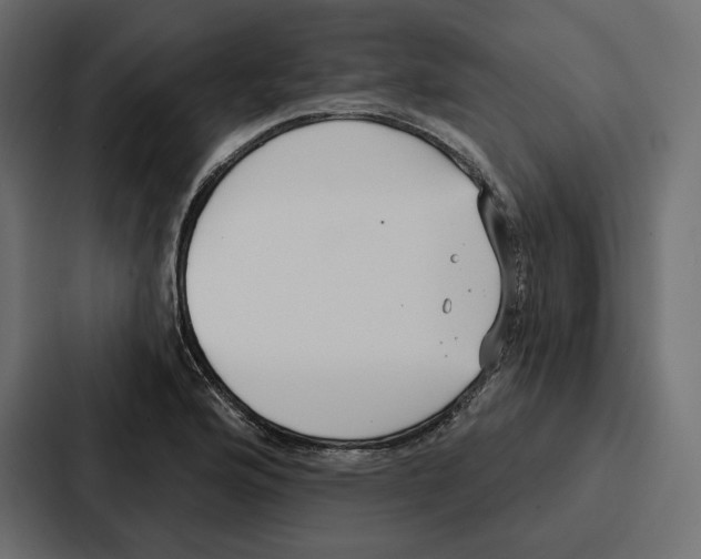 X0000086801176200705111829