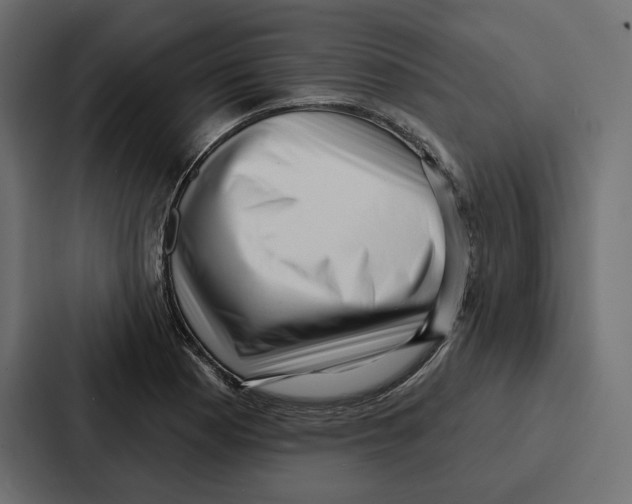 X0000086801177200705111829