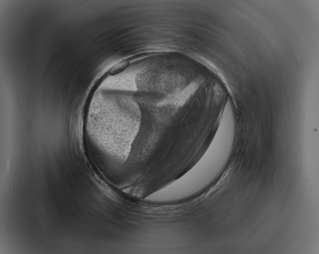 X0000086801179200705111829