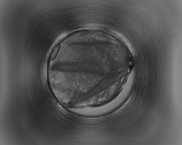 X0000086801180200705111829