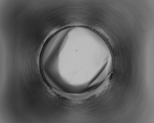 X0000086801181200705111829