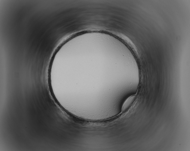 X0000086801183200705111829