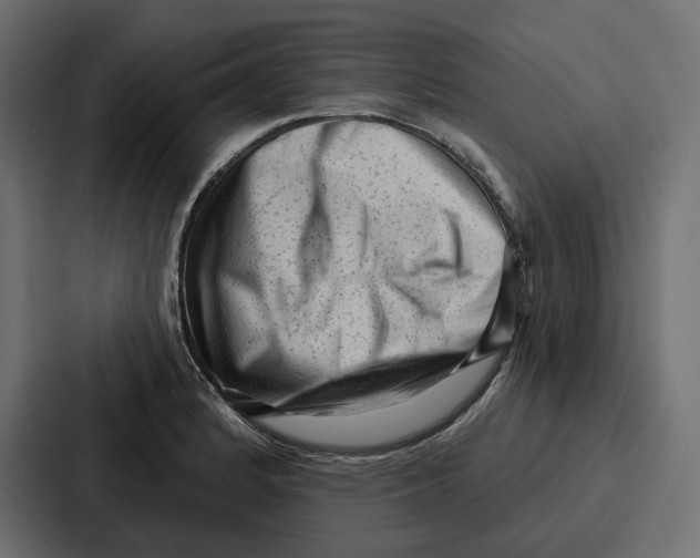 X0000086801184200705111829