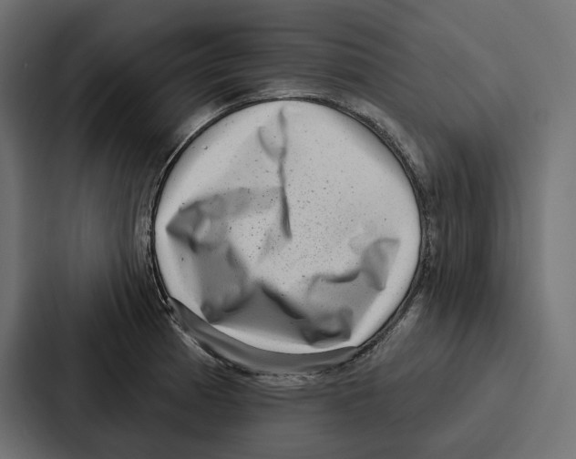 X0000086801185200705111829