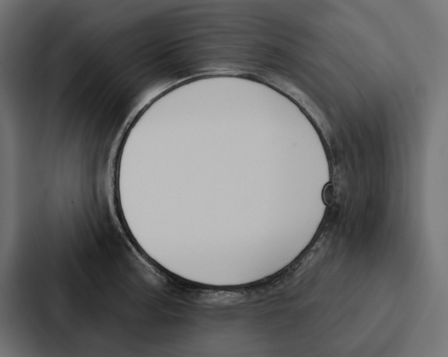 X0000086801187200705111829