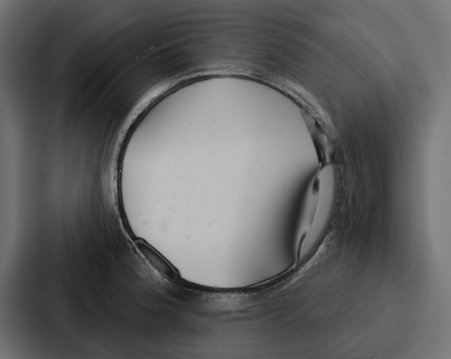 X0000086801188200705111829