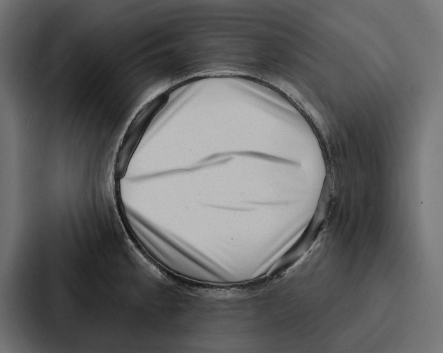 X0000086801189200705111829