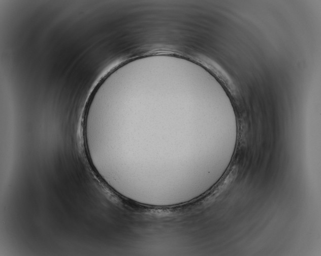 X0000086801190200705111829