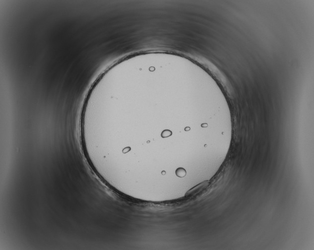 X0000086801191200705111829