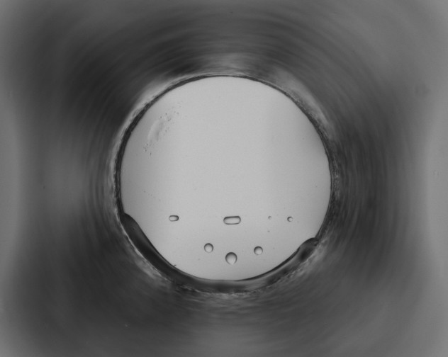 X0000086801192200705111829