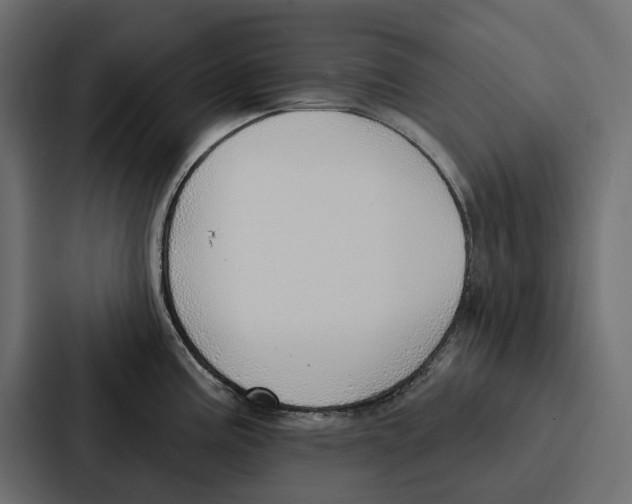 X0000086801195200705111829