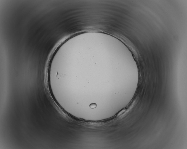 X0000086801196200705111829