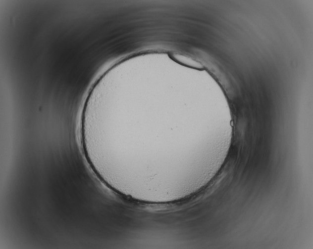 X0000086801199200705111829