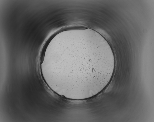 X0000086801200200705111829