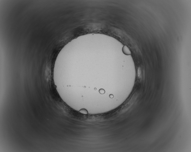 X0000086801203200705111828