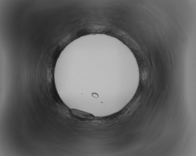 X0000086801204200705111828