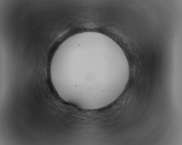 X0000086801205200705111828