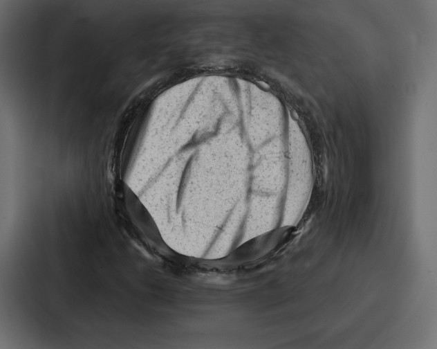 X0000086801206200705111828