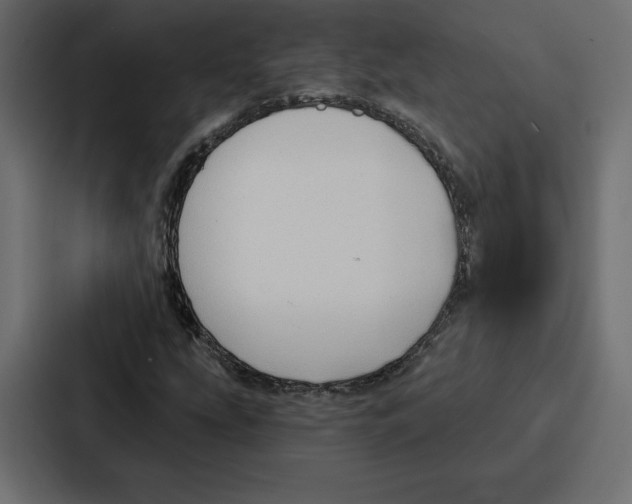 X0000086801207200705111828