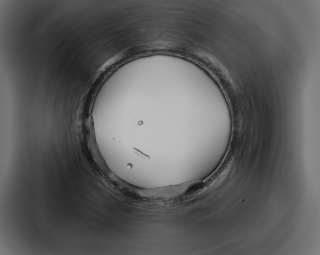 X0000086801210200705111828