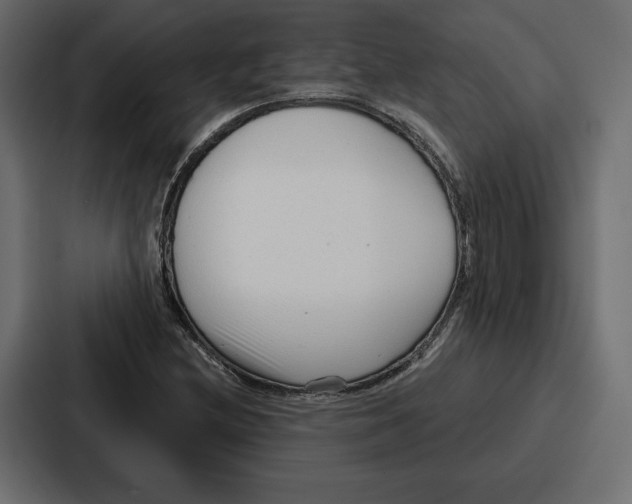 X0000086801212200705111828