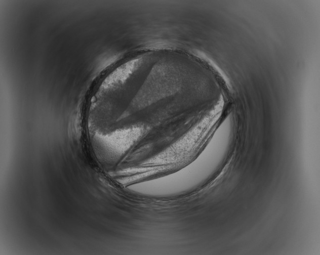 X0000086801213200705111828