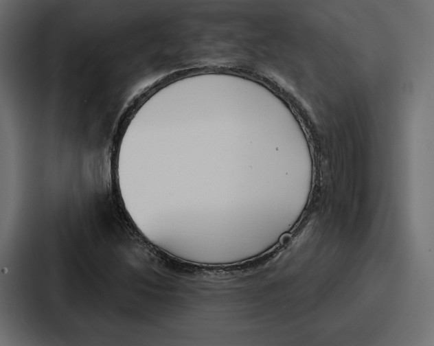 X0000086801214200705111828