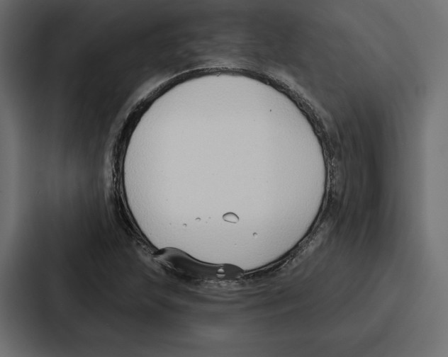 X0000086801215200705111828