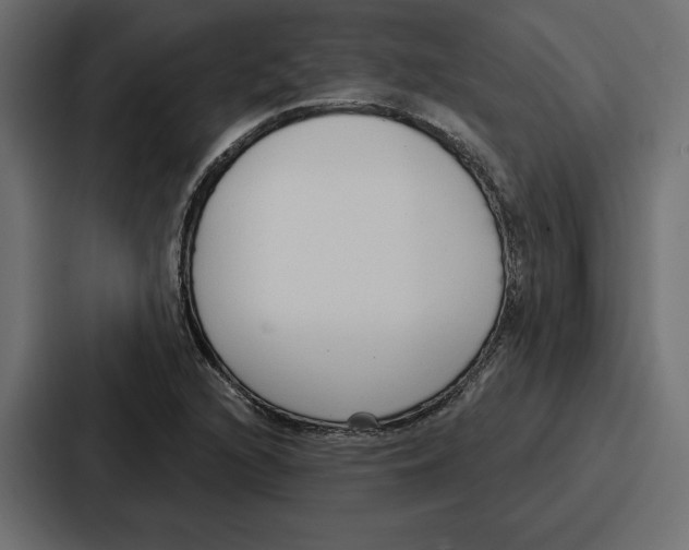 X0000086801216200705111828