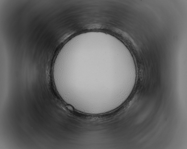 X0000086801217200705111828