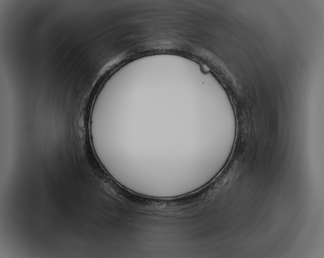 X0000086801218200705111828